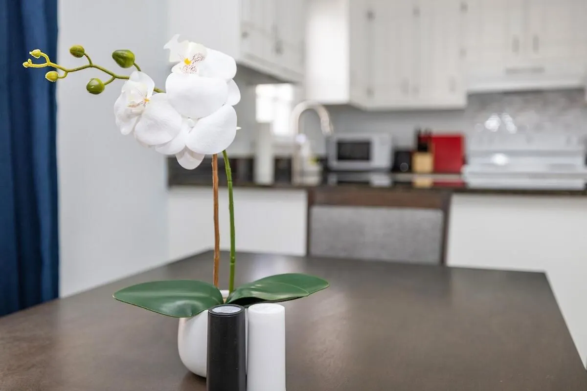 New! Special Rate For First Bookings! 2 Bedroom Charlotte 0*,